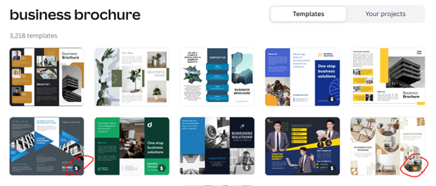 Screenshot of Canva business brochure templates with pricing icons circled